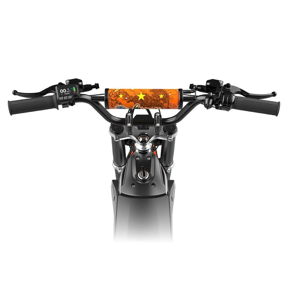 KuKirin X1 handlebar, display and rider controls